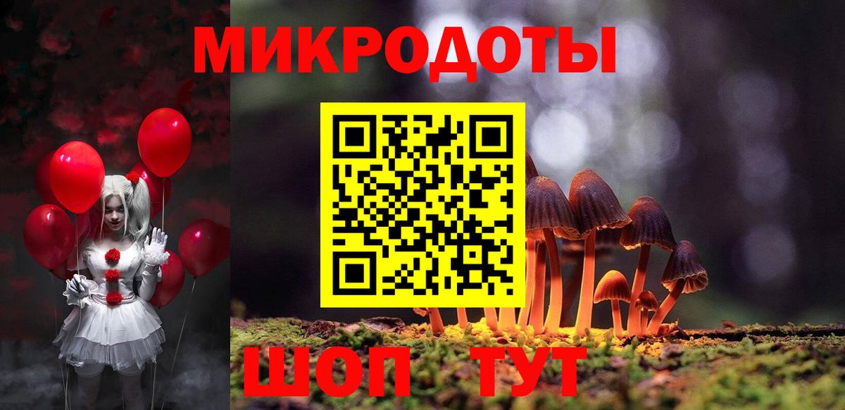 Галлюциногенные грибы Psilocybe Карабулак